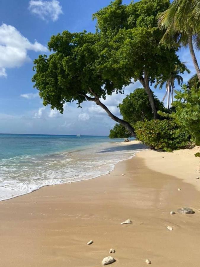 Westmoreland Hills - Mount Standfast - St James - Full Gym Membership Saint James Esterno foto