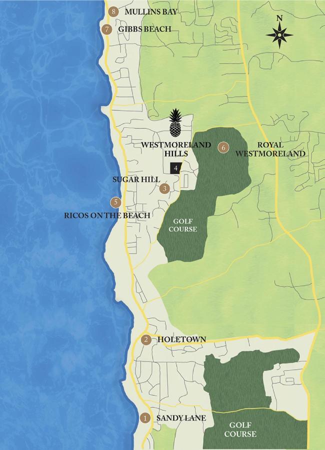 Westmoreland Hills - Mount Standfast - St James - Full Gym Membership Saint James Esterno foto