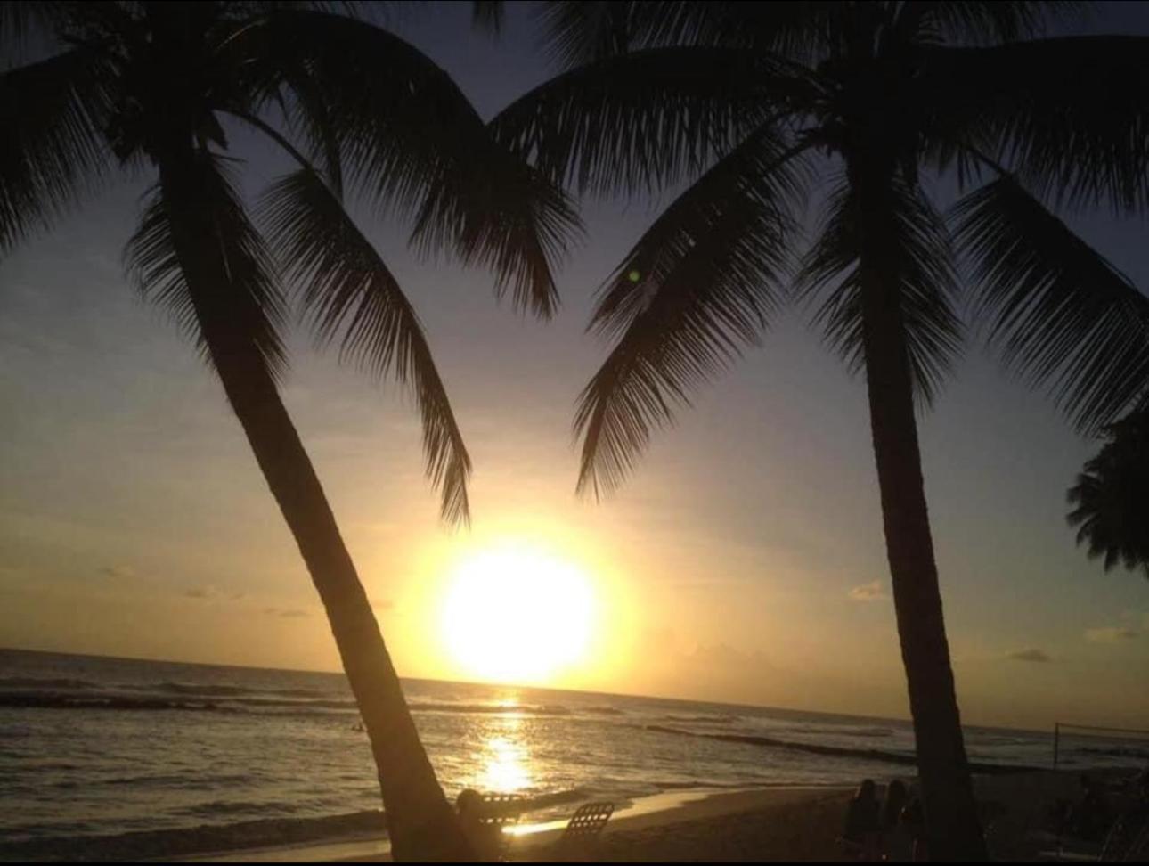 Westmoreland Hills - Mount Standfast - St James - Full Gym Membership Saint James Esterno foto