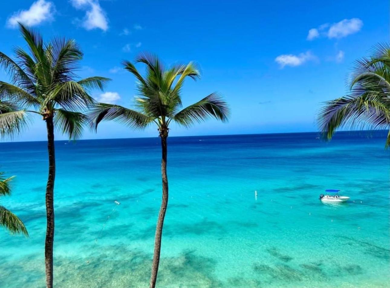 Westmoreland Hills - Mount Standfast - St James - Full Gym Membership Saint James Esterno foto